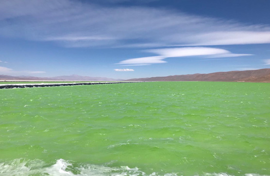 星空官方網(wǎng)頁版